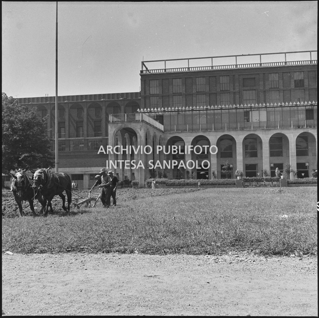 Aratura del terreno con dei cavalli di fronte alla Triennale di Milano<br>221903