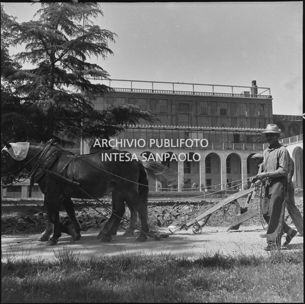 Aratura del terreno con dei cavalli di fronte alla Triennale di Milano<br>221906