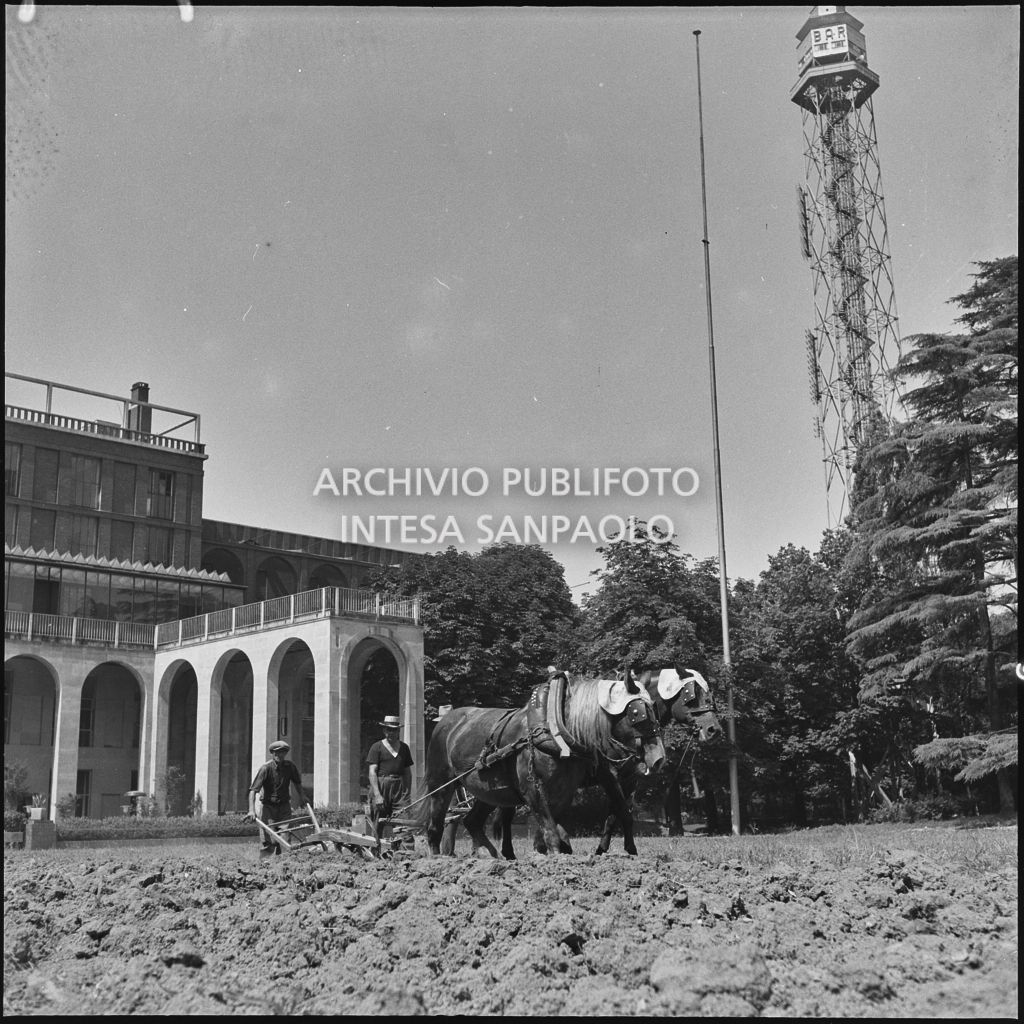 Aratura del terreno con dei cavalli di fronte alla Triennale di Milano<br>221907