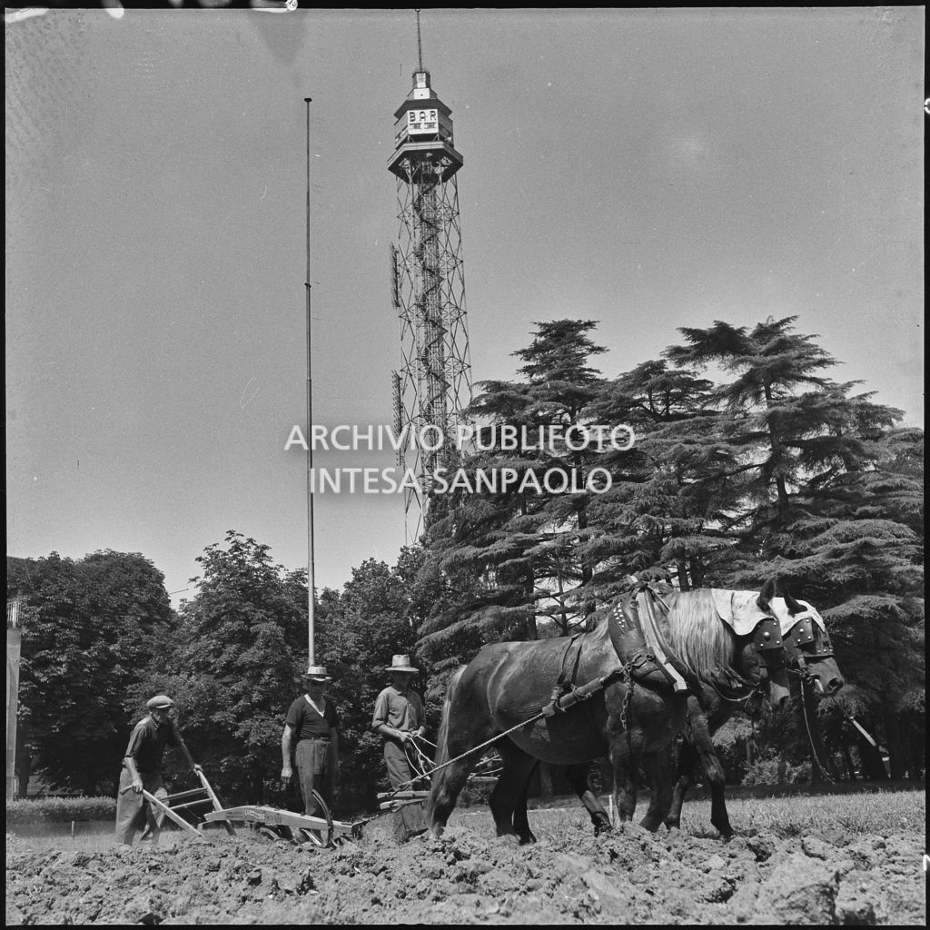 Aratura del terreno con dei cavalli di fronte alla Triennale di Milano<br>221908