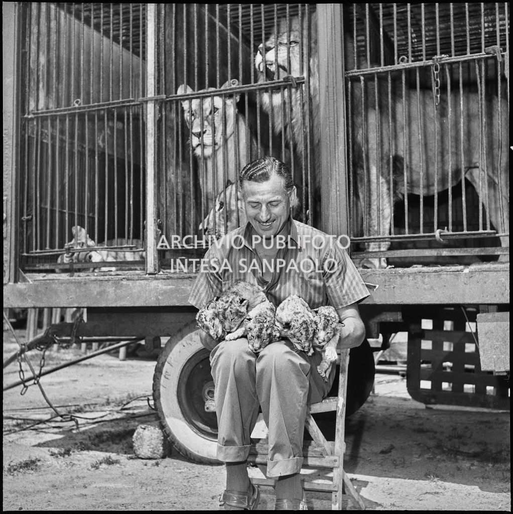 Il domatore del Circo Orfei Emile Maustié seduto davanti alla gabbia dei leoni con in mano i cinque cuccioli appena partoriti<br>222058