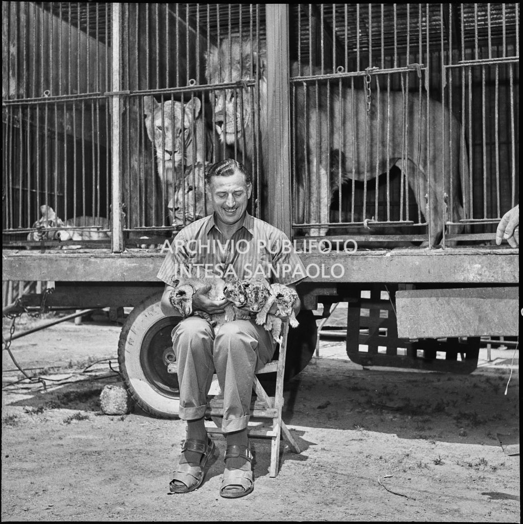 Il domatore del Circo Orfei Emile Maustié seduto davanti alla gabbia dei leoni con in mano i cinque cuccioli appena partoriti<br>222059