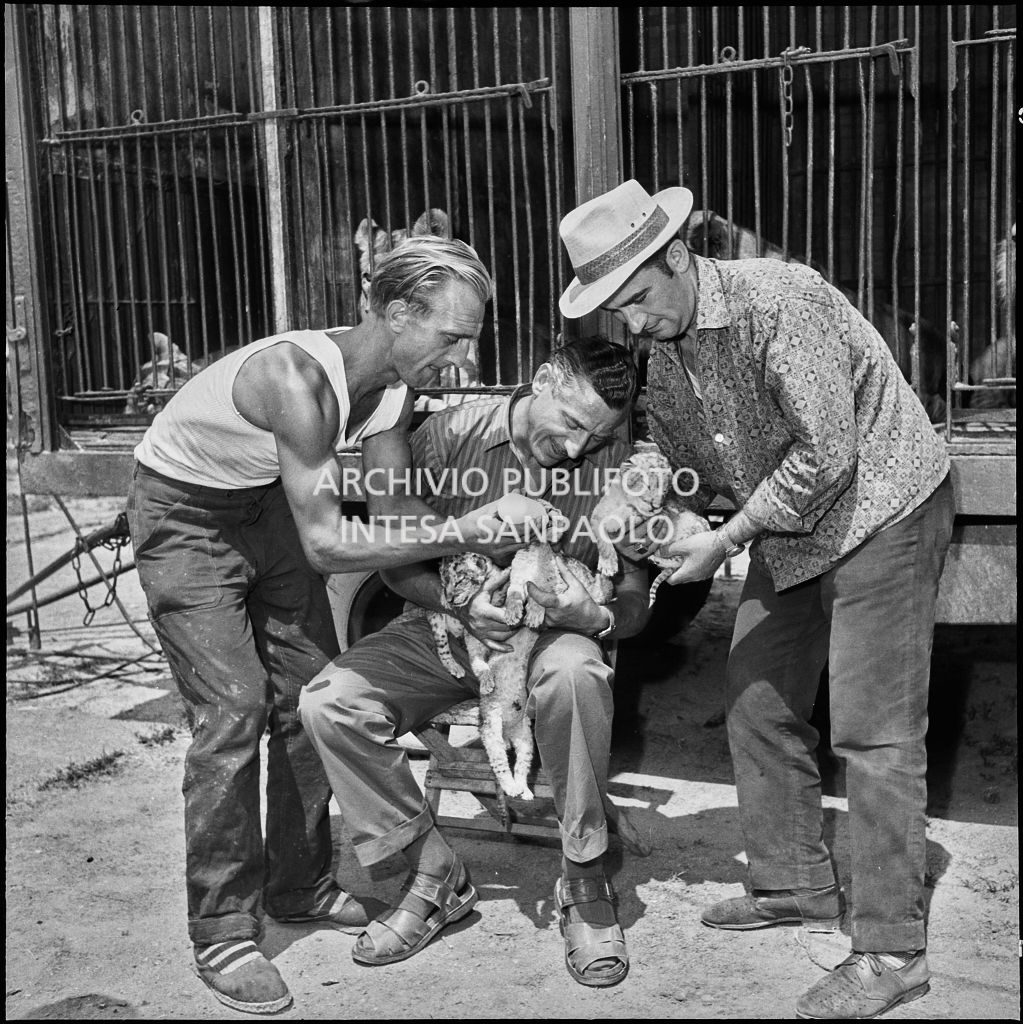 Il domatore del Circo Orfei Emile Maustié seduto davanti alla gabbia dei leoni sfama i cinque cuccioli appena partoriti<br>222063