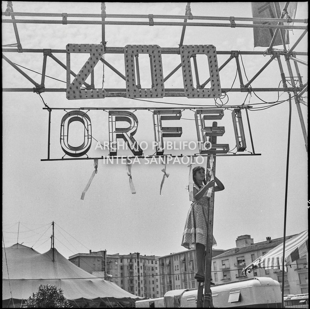 Una ragazza appende cinque nastri all'insegna dello Zoo Orfei per la nascita di altrettanti cuccioli di leone<br>222068