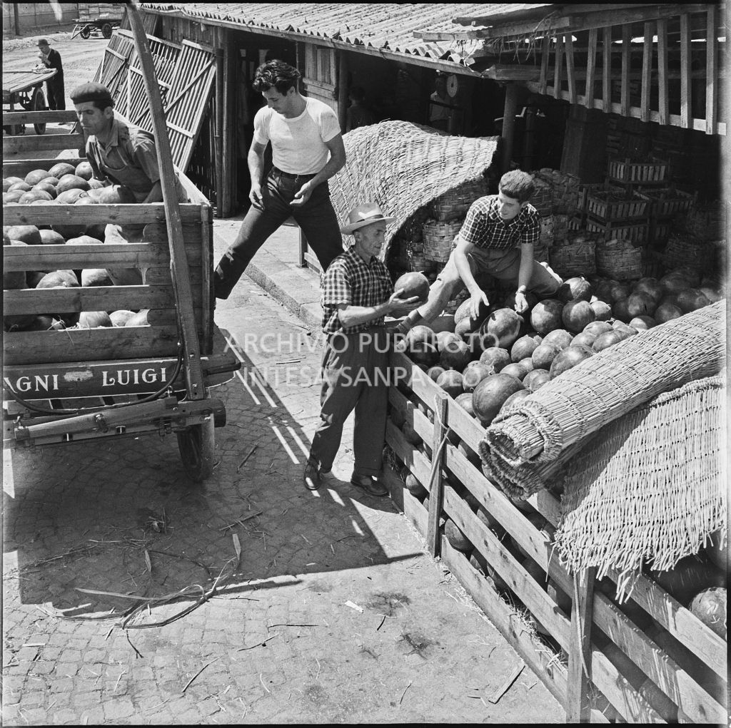 Preparazione di un banco di angurie al Verziere di Milano<br>222077