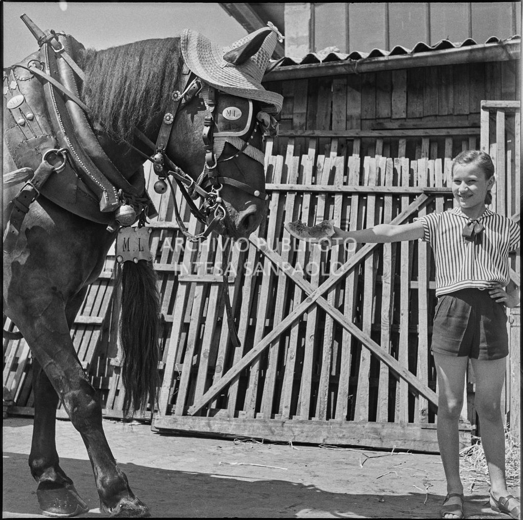 Una ragazza offre un pezzo d'anguria a un cavallo<br>222099