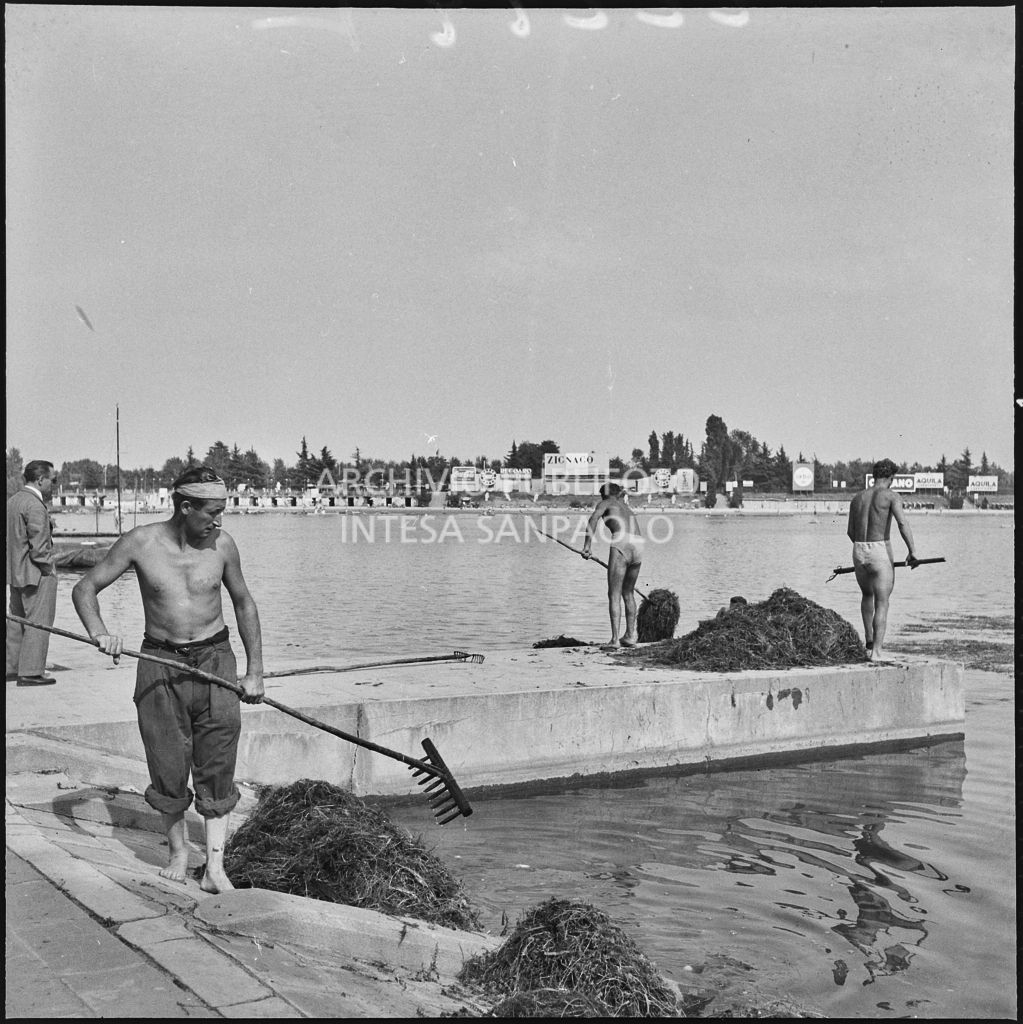 Alcuni uomini raccolgono delle erbacce dalle acque dell'Idroscalo di Milano<br>222197