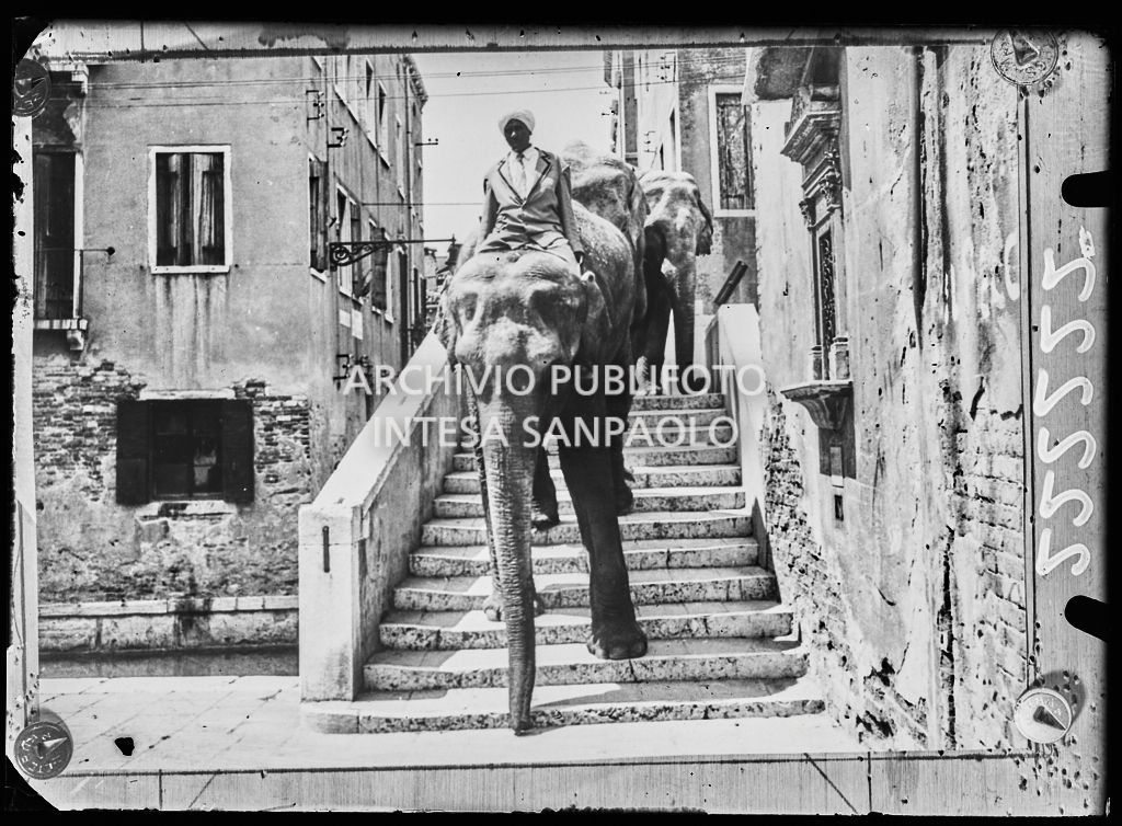 Gli elefanti del Circo Togni sfilano per le vie di Venezia<br>222222