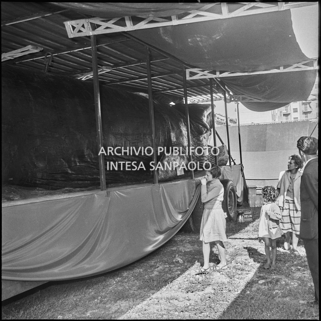 Alcuni bambini osservano la balena Goliath esposta a Milano nel 1954<br>222898