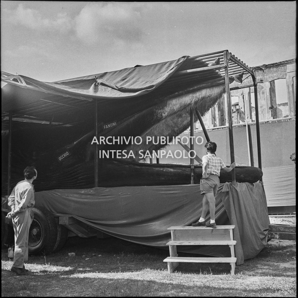 Un bambino e un uomo osservano la balena Goliath esposta a Milano nel 1954<br>222899