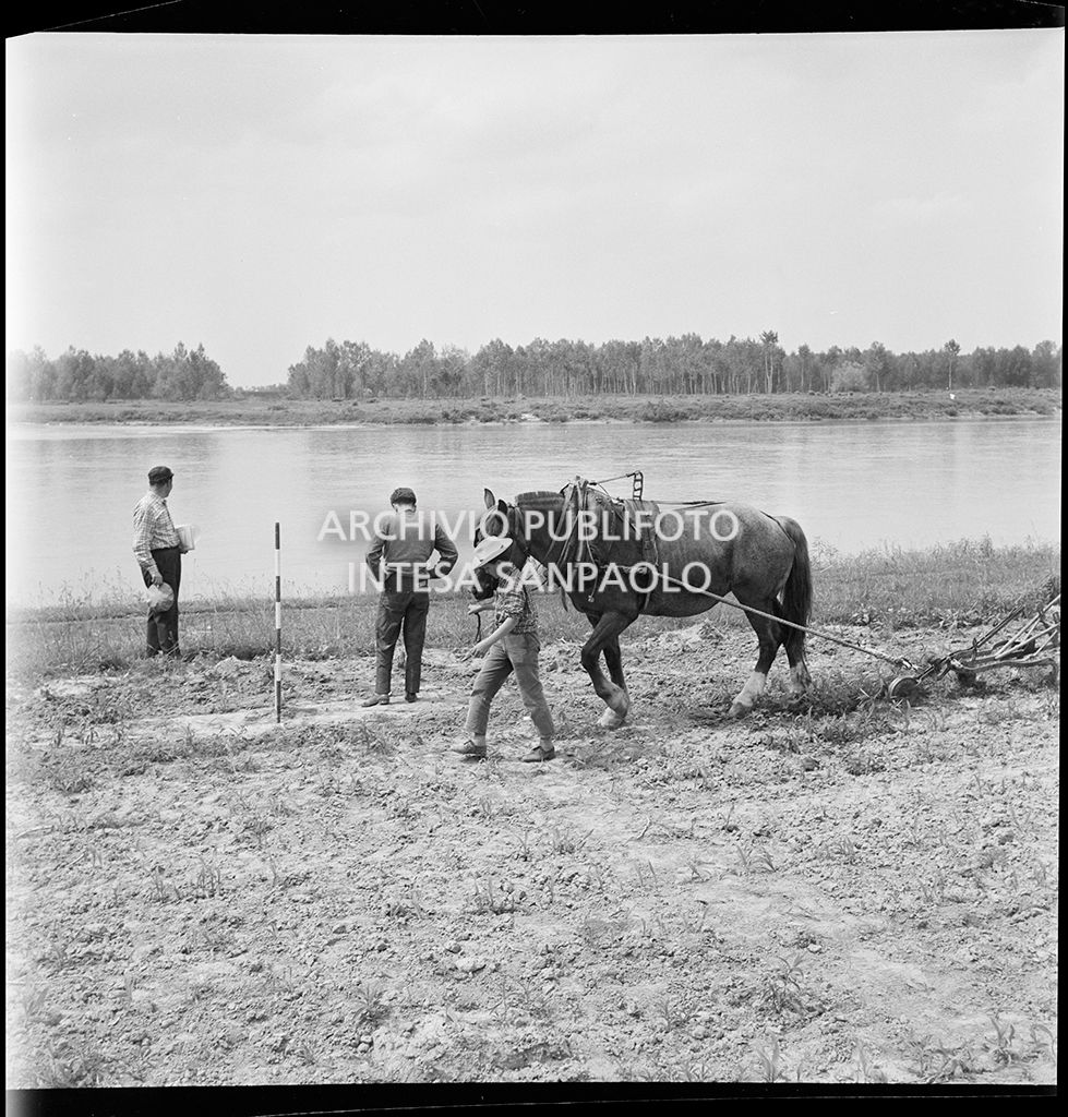 Due uomini eseguono dei rilievi, sul fiume Po, nei pressi di Mortizza<br>383233