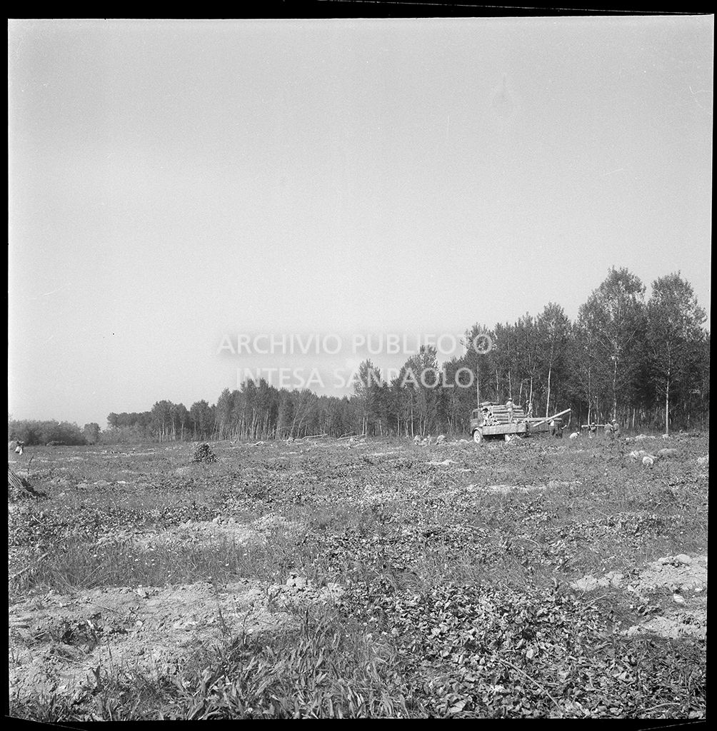 Scarico tronchi d'albero da un autocarro nel cantiere per la costruzione del ponte dell'Autostrada del Sole, sul fiume Po, nei pressi di Mortizza<br>383237