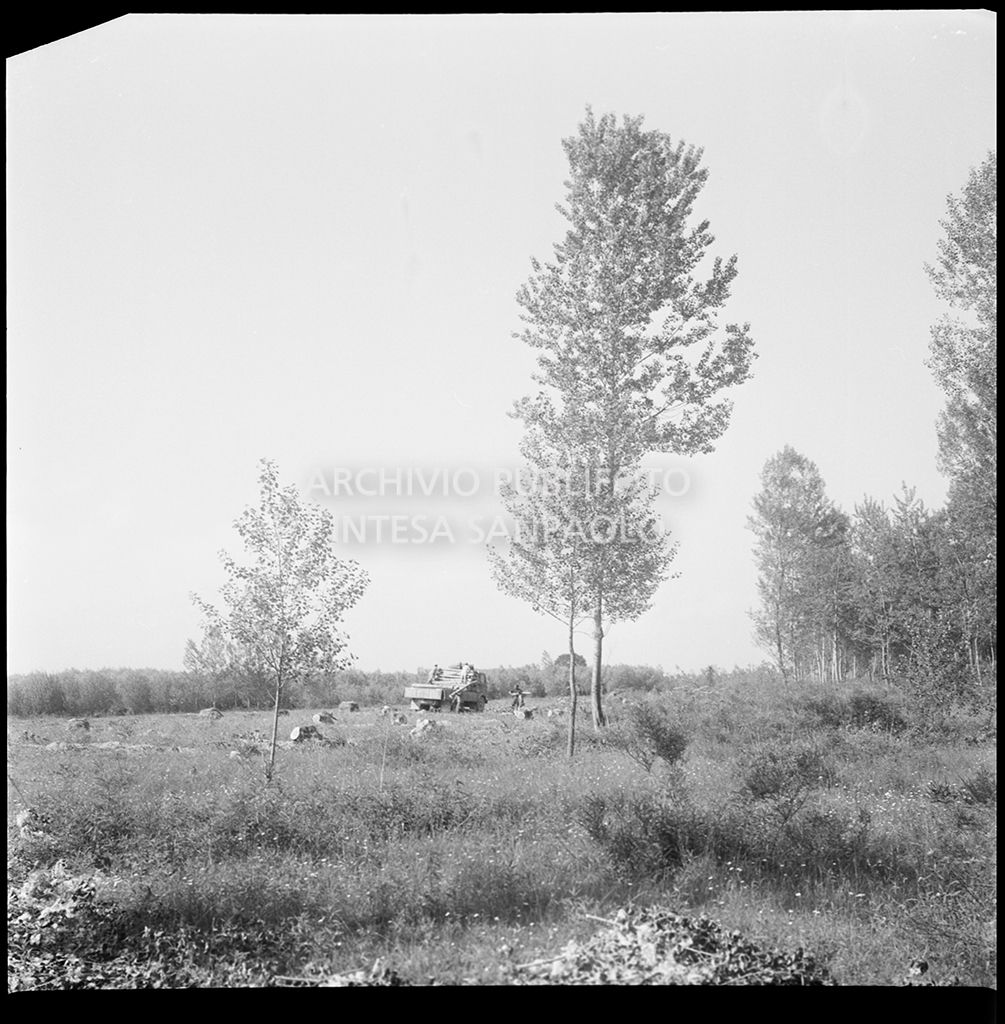 Scarico tronchi d'albero da un autocarro nel cantiere per la costruzione del ponte dell'Autostrada del Sole, sul fiume Po, nei pressi di Mortizza<br>383240