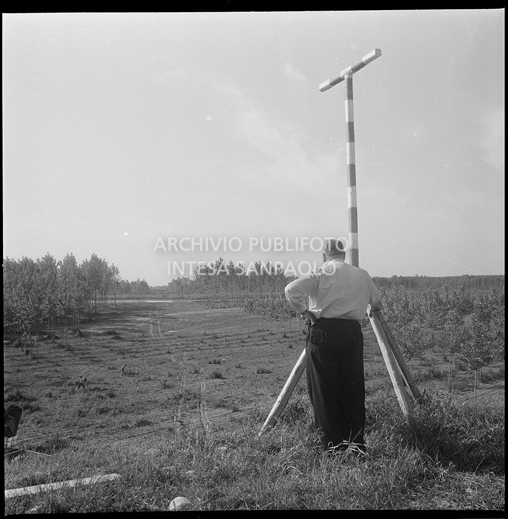 Rilievi, sul fiume Po, nei pressi di Mortizza<br>383242