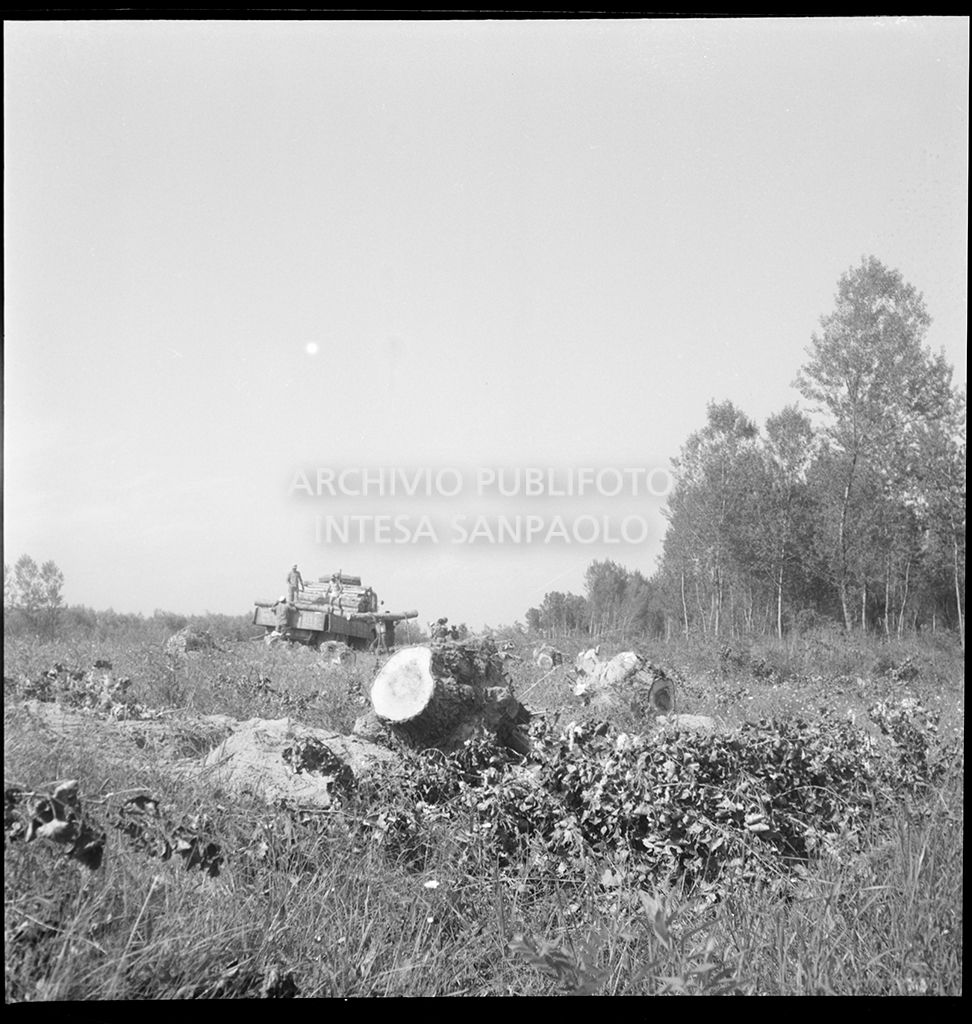 Scarico tronchi d'albero da un autocarro nel cantiere per la costruzione del ponte dell'Autostrada del Sole, sul fiume Po, nei pressi di Mortizza<br>383245