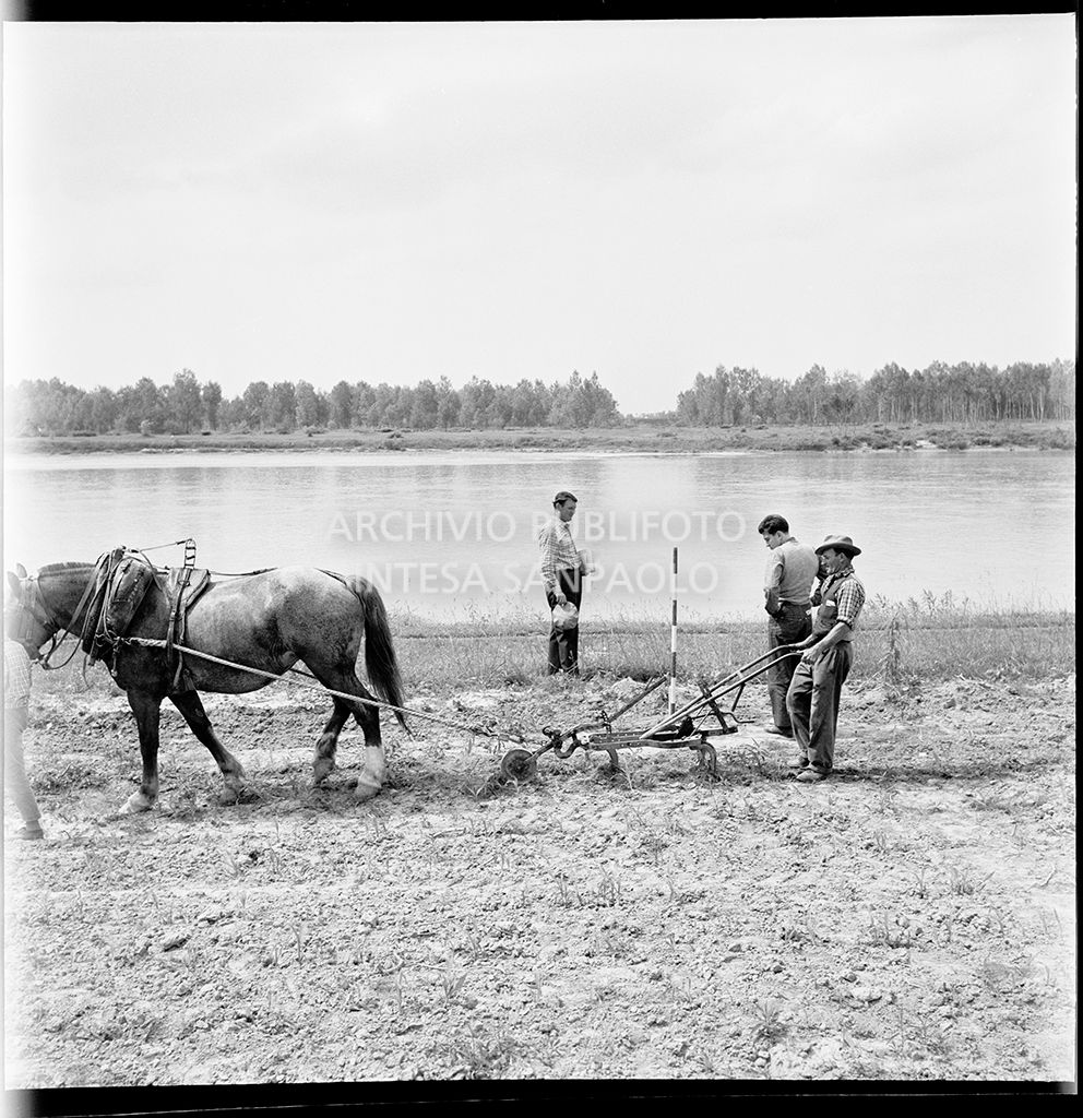 Rilievi sul fiume Po, nei pressi di Mortizza<br>383248