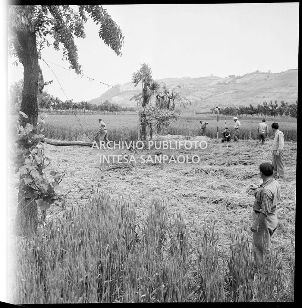 Addetti al cantiere di costruzione dell'Autostrada del Sole, tratta Casalecchio di Reno-Sasso Marconi, eseguono dei rilievi<br>383301
