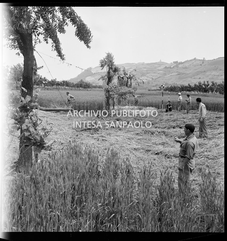 Addetti al cantiere di costruzione dell'Autostrada del Sole, tratta Casalecchio di Reno-Sasso Marconi, eseguono dei rilievi<br>383302