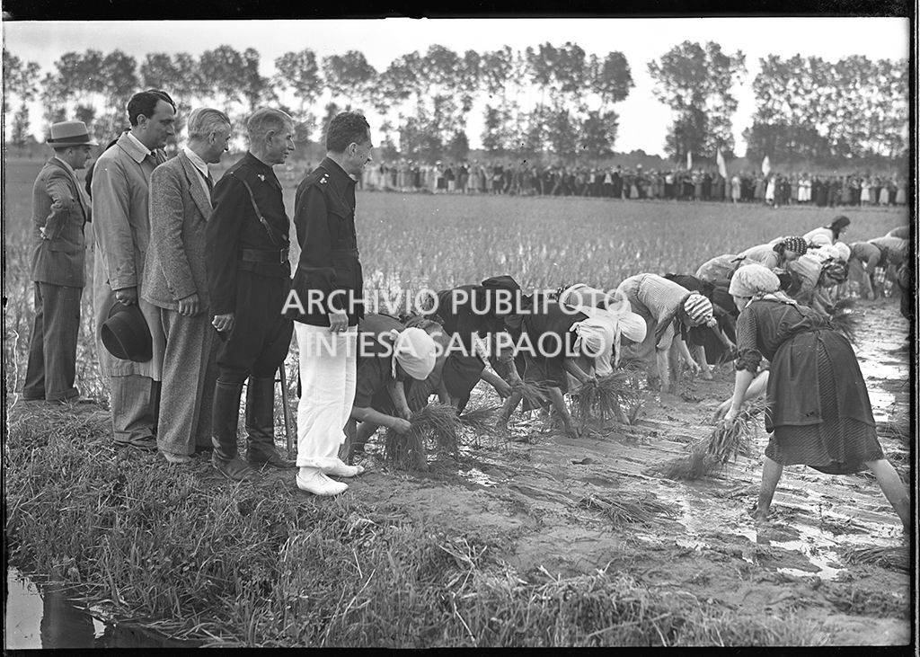 Mondine in pausa pranzo<br>4507