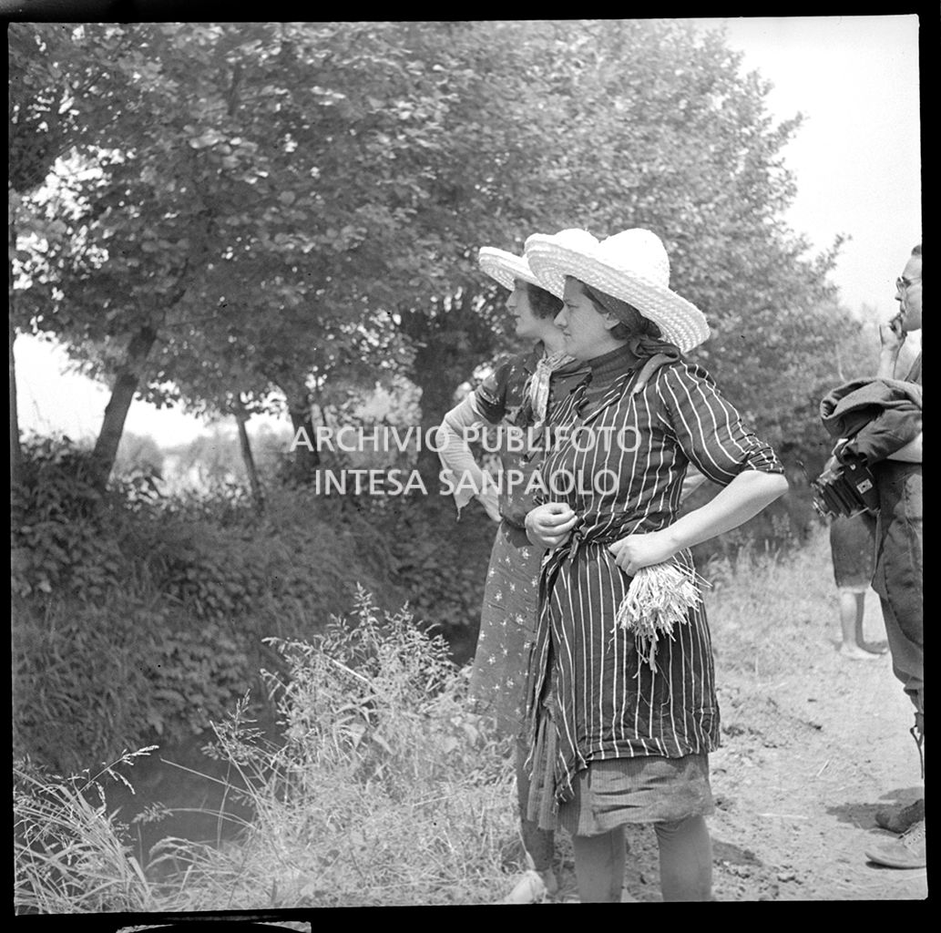 Mondine al lavoro in risaia<br>4513