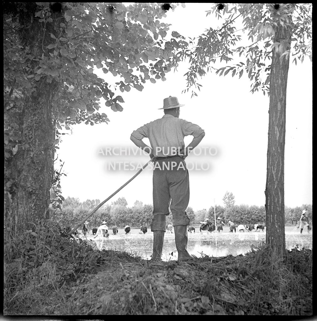Il fattore ripreso di spalle mentre controlla le mondine al lavoro<br>4530