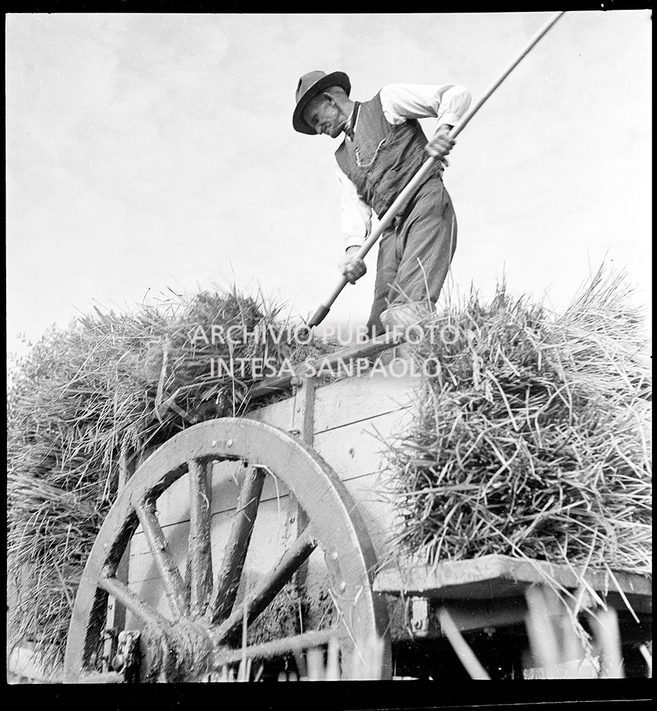 Lavoro agricolo<br>4552
