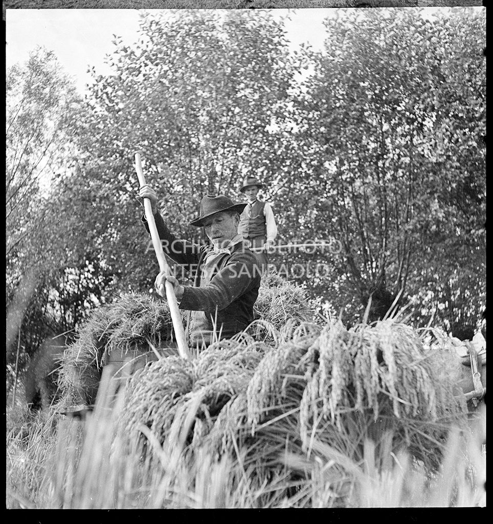 Lavoro in risaia<br>4566