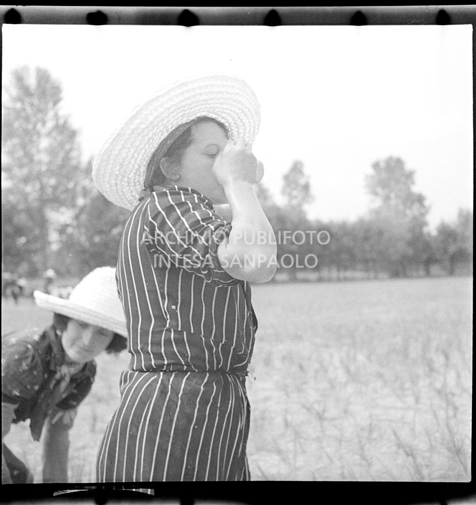 Mondina si disseta durante il lavoro in risaia<br>4585