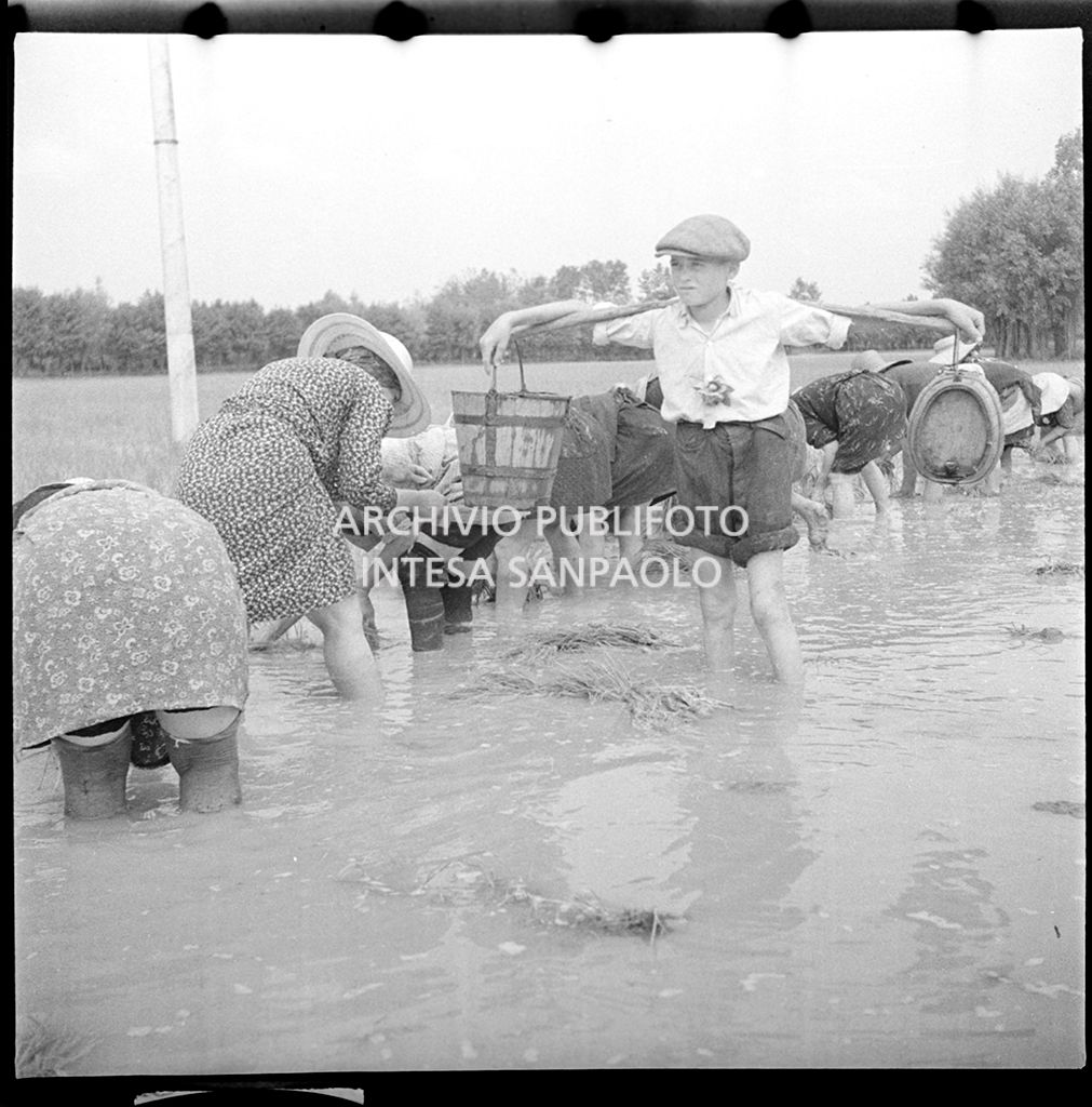 Mondine al lavoro in risaia; in primo piano un ragazzino trasporta un secchio e una piccola piene d l'acqua