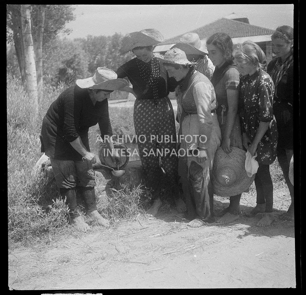 Mondine si dissetano da una piccola damigiana<br>4599