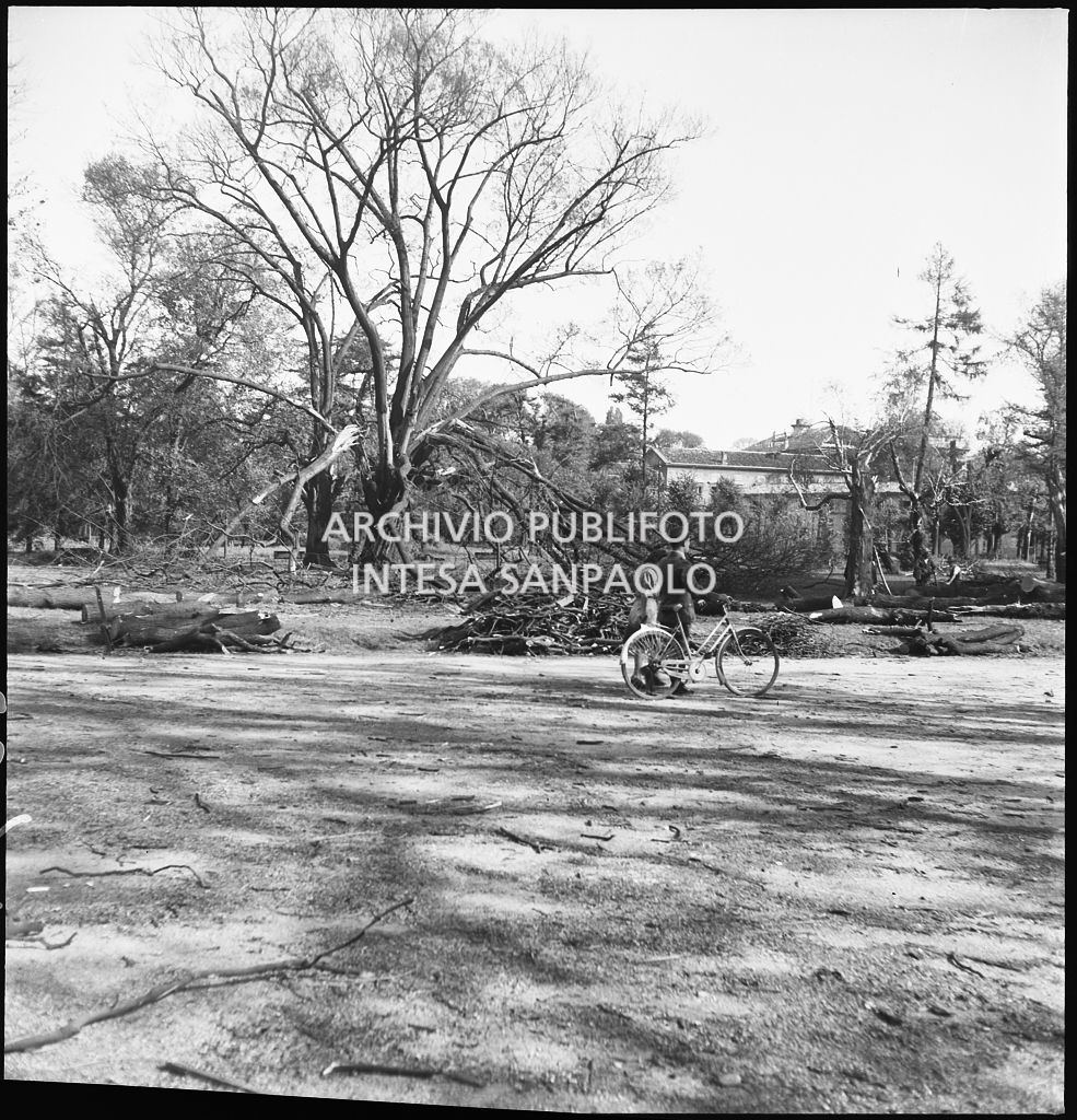 Un uomo con bicicletta cammina ai Giardini Pubblici tra gli alberi divelti dai bombardamenti