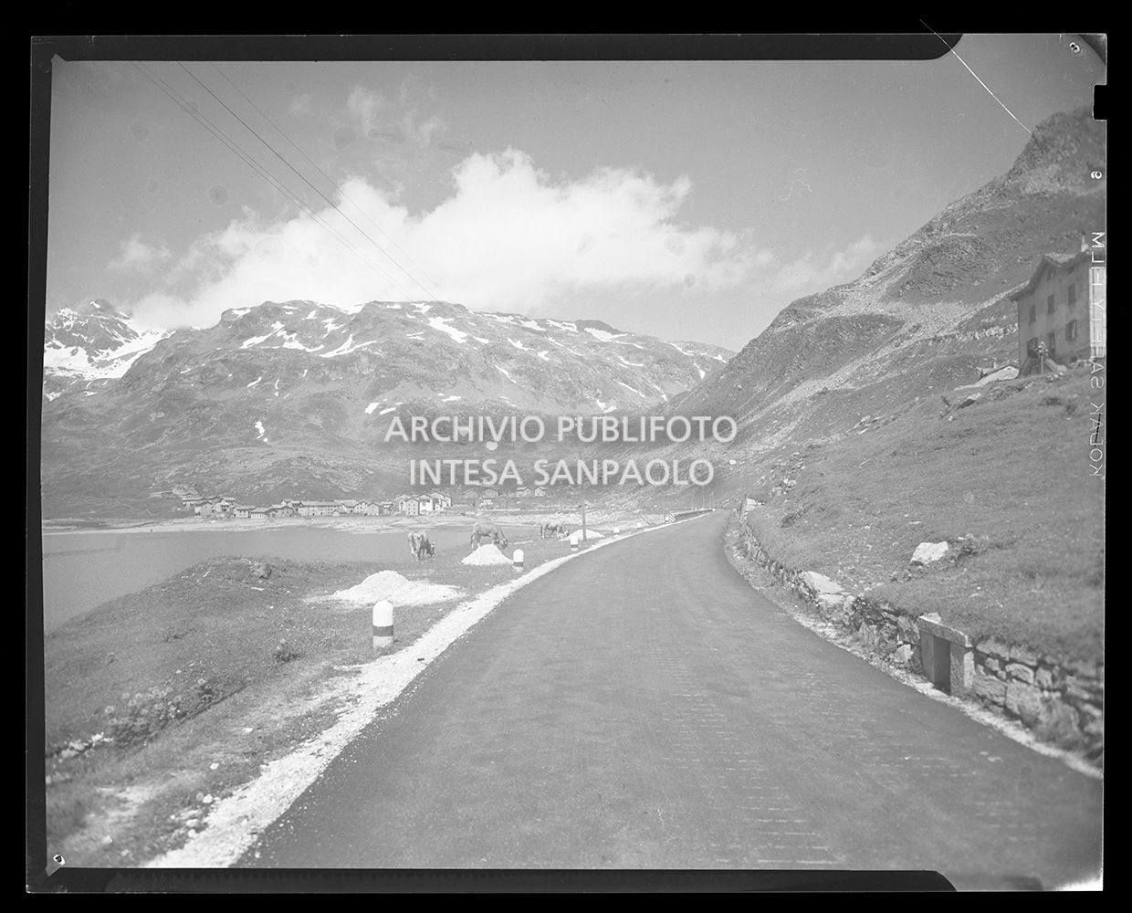 Strada tra le montagne con bovini nei campi circostanti<br>20152