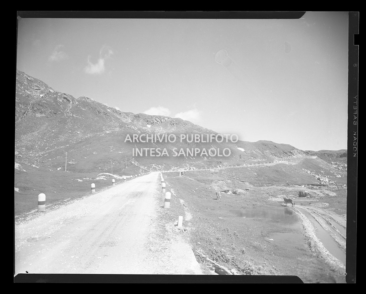 Strada tra le montagne con bovini nei campi circostanti<br>20153