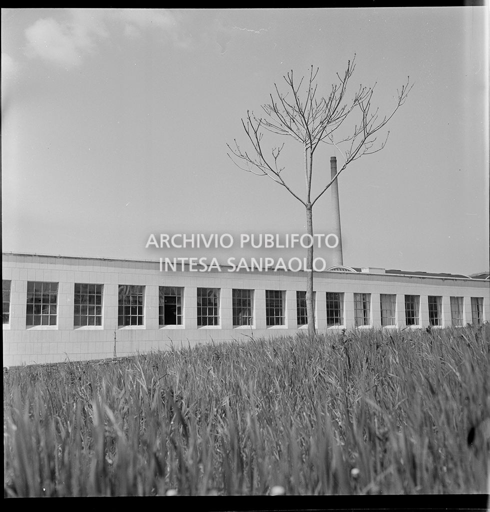 Veduta esterna<br>17467