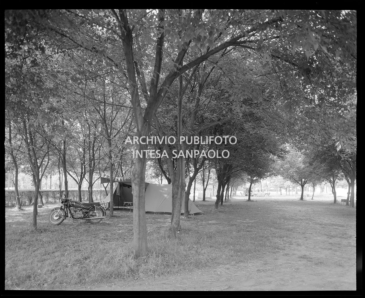 Tenda sotto gli alberi con moto<br>18719