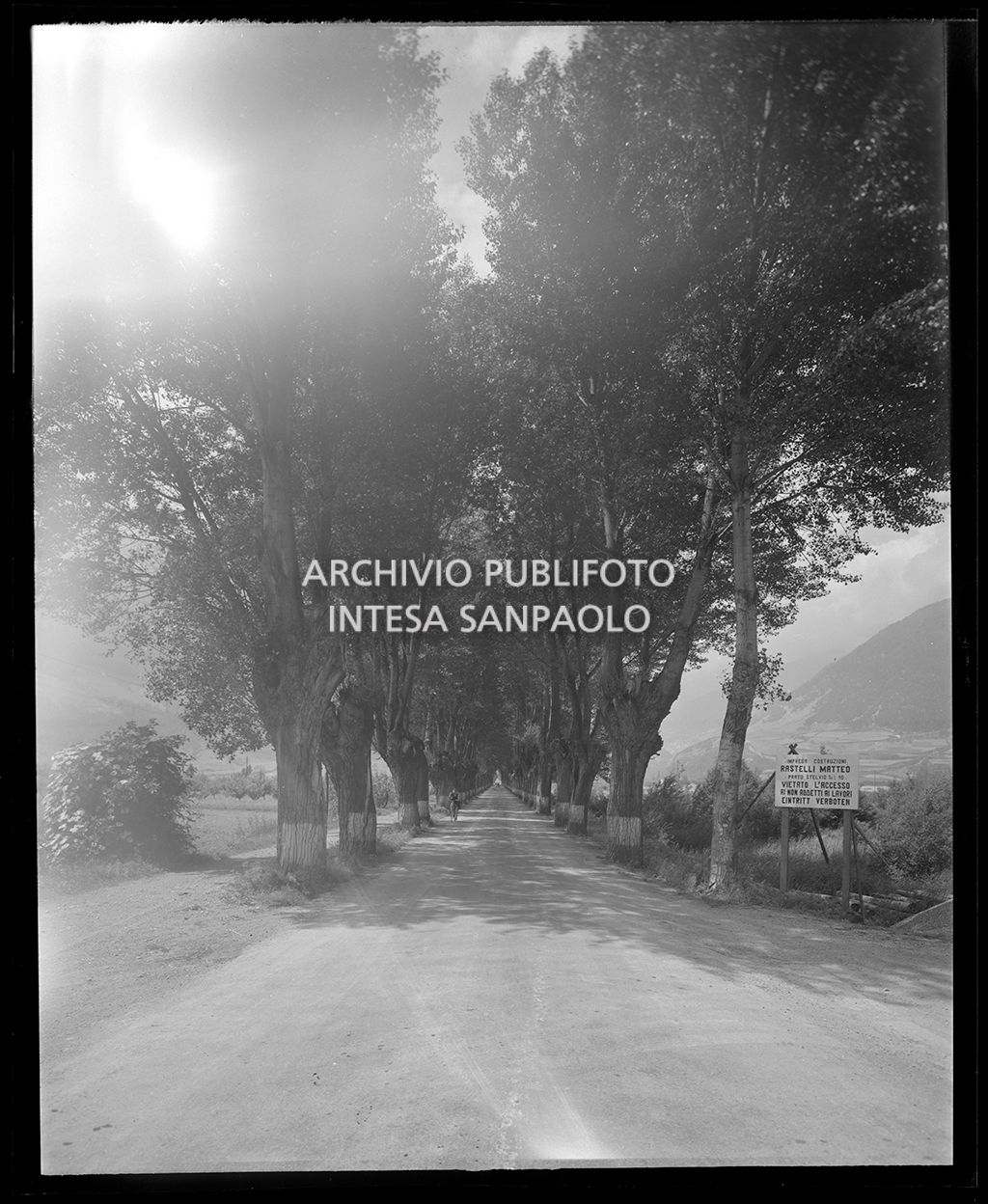 Viale privato con un cartello che riporta l'indicazione dell'"Impresa costruzioni Rastrelli Matteo"<br>19579
