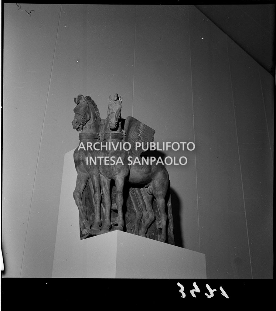 Cavalli alati<br>3471