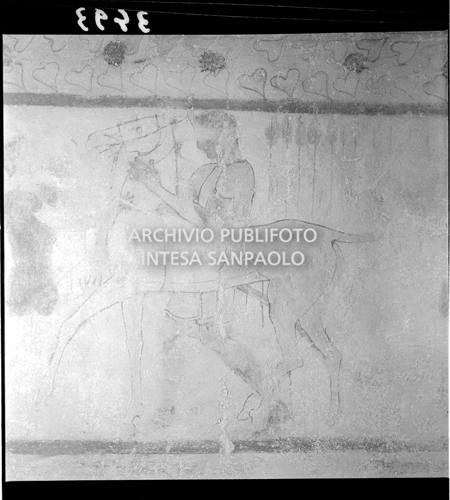 Affresco: uomo con cavallo<br>3493