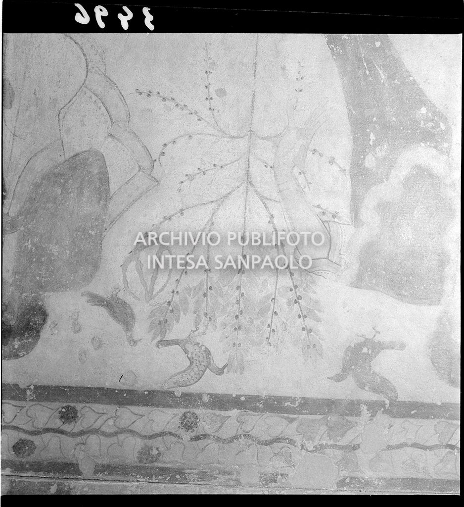 Affresco: vegetazione ed uccelli<br>3496