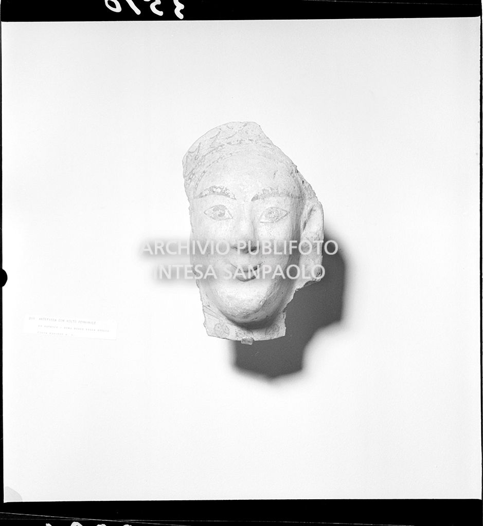 Testa di statua<br>3510