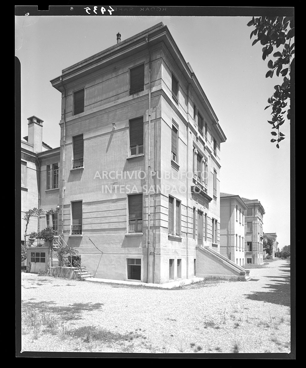 Anatomia umana<br>4935