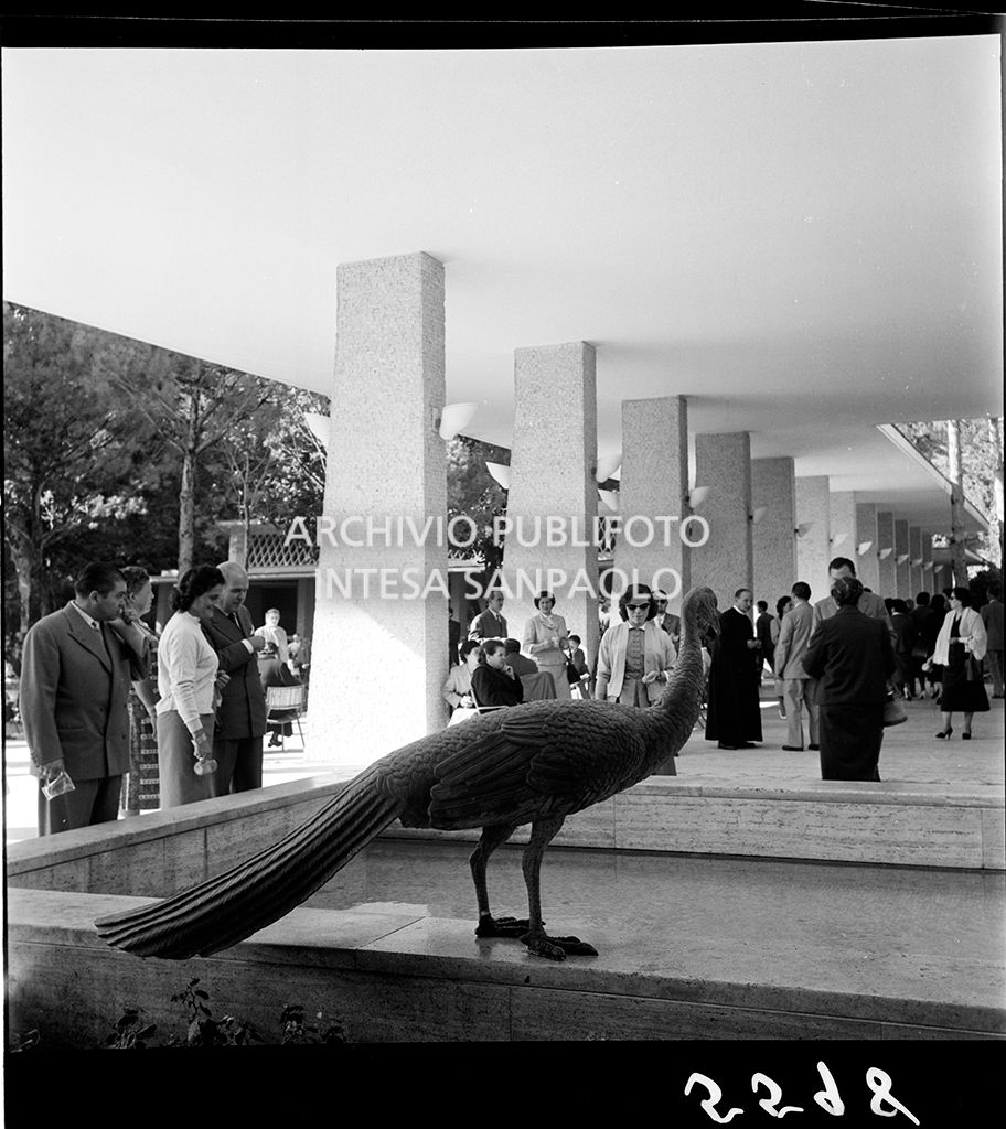 Fontana dei pavoni<br>5598