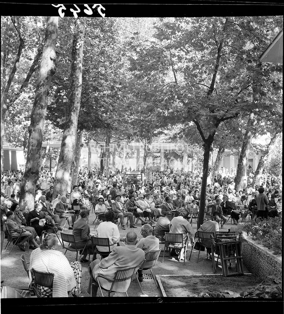 pubblico di uno spettacolo musicale<br>5645