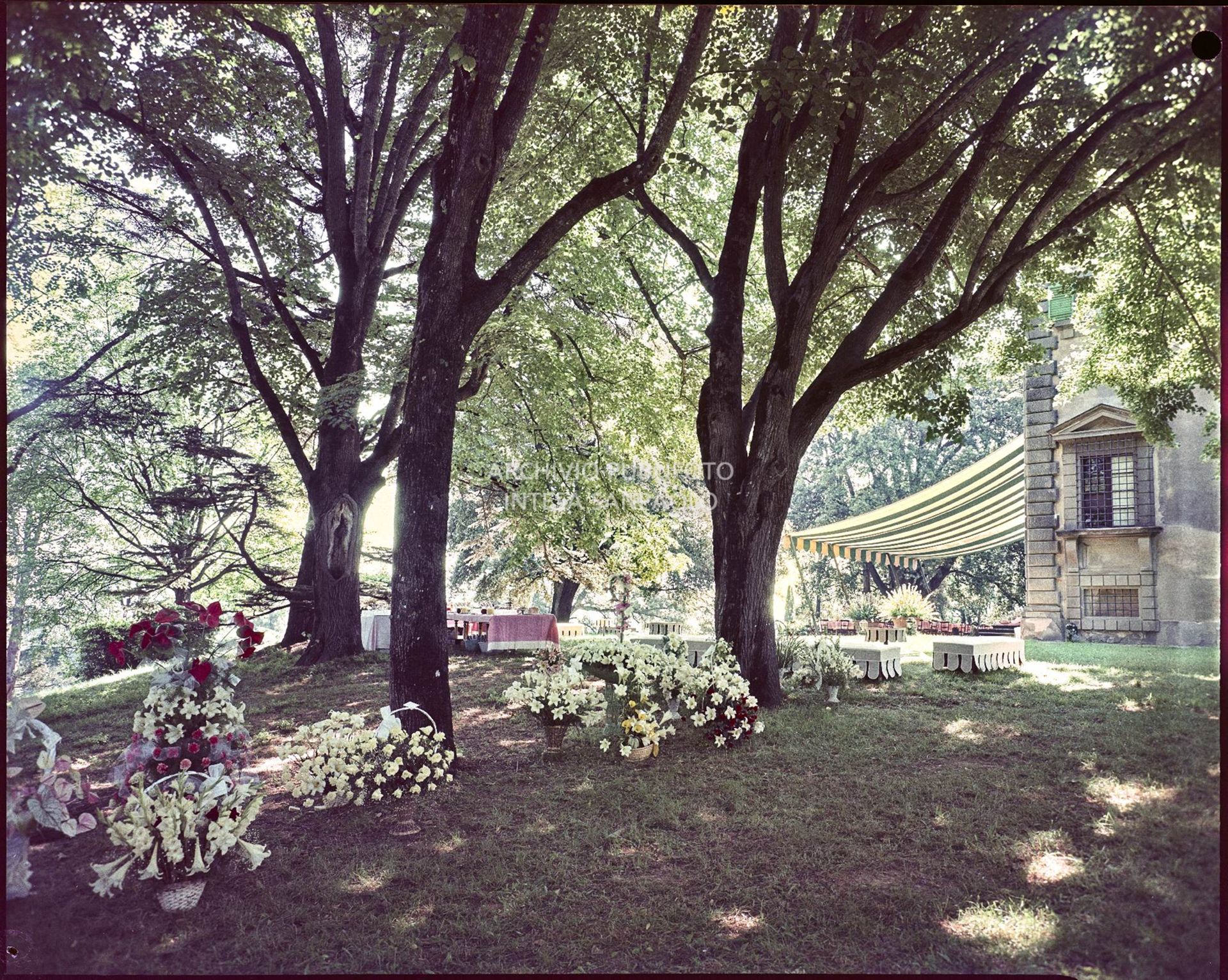 Giardino della villa allestito per il matrimonio tra Umberto Agnelli e Antonella Bechi Piaggio<br>2270