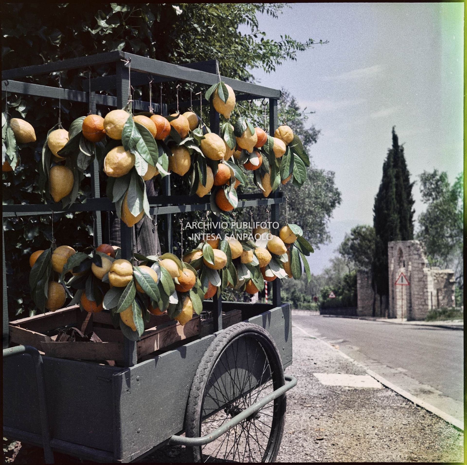 Carretto di arance e limoni sul ciglio di una strada<br>365