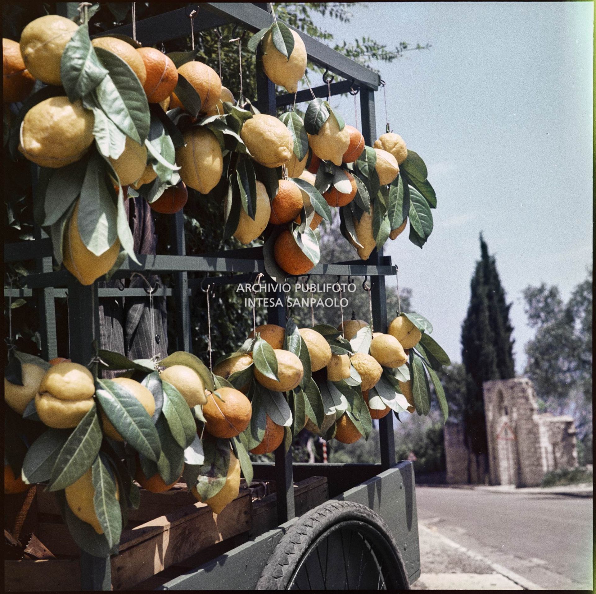 Carretto di arance e limoni sul ciglio di una strada<br>366
