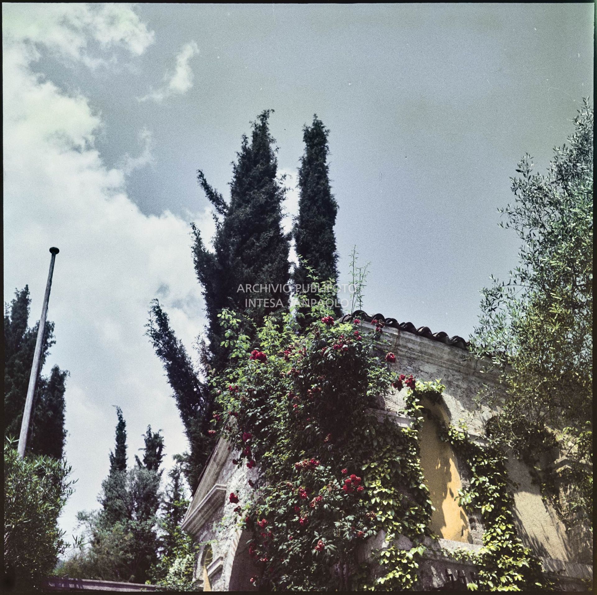 Il giardino del Vittoriale degli Italiani a Gardone Riviera<br>371