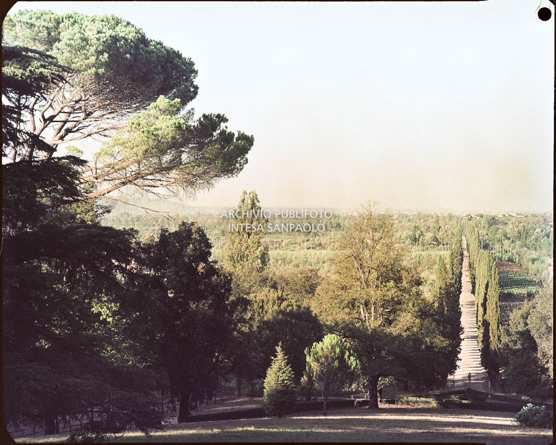 Veduta del paesaggio circostante la villa<br>811