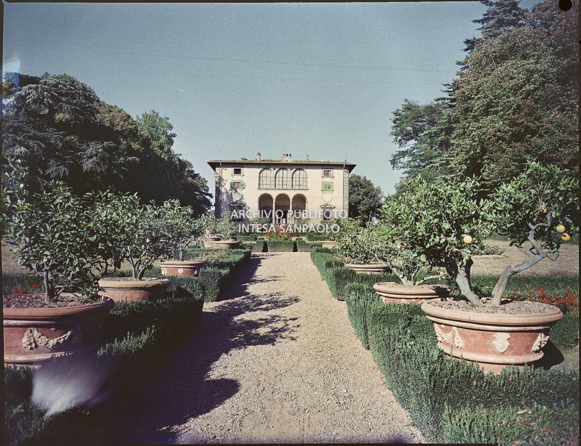 Veduta esterna della villa e del viale antistante<br>817