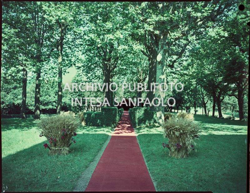 Tappeto rosso steso sul viale che porta alla cappella in giardino dove è stato celebrato il matrimonio tra Umberto Agnelli e Antonella Bechi Piaggio<br>2254